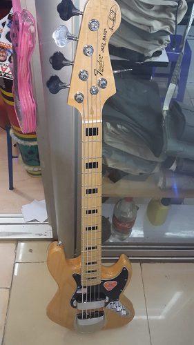 5 Strings profesional bass guitar